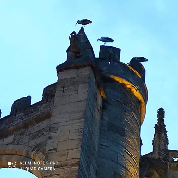 Logis Corneille I Appartement Narbonne Buitenkant foto